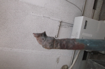 3 アップの写真-1